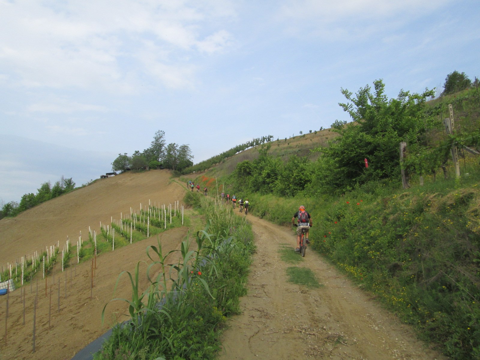 bello scorcio tra i vigneti