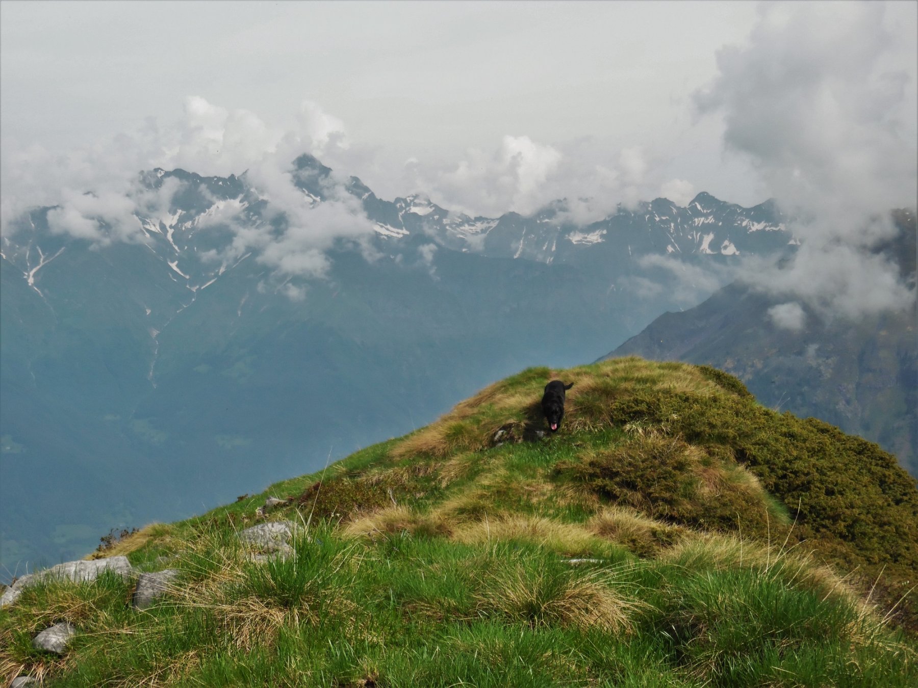 In cima all'Avert 2084 m