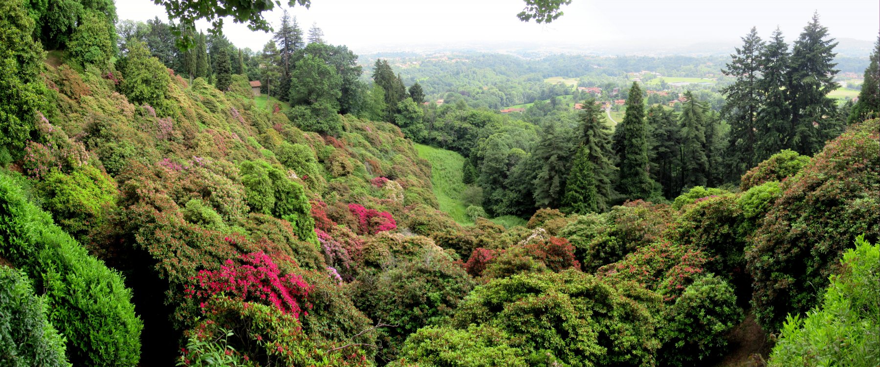 Conca dei Rododendri (ormai sfioriti) nel Parco della Burcina