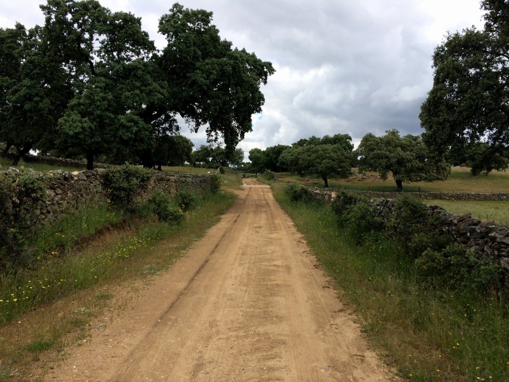 Querce  e pascoli lungo il cammino.