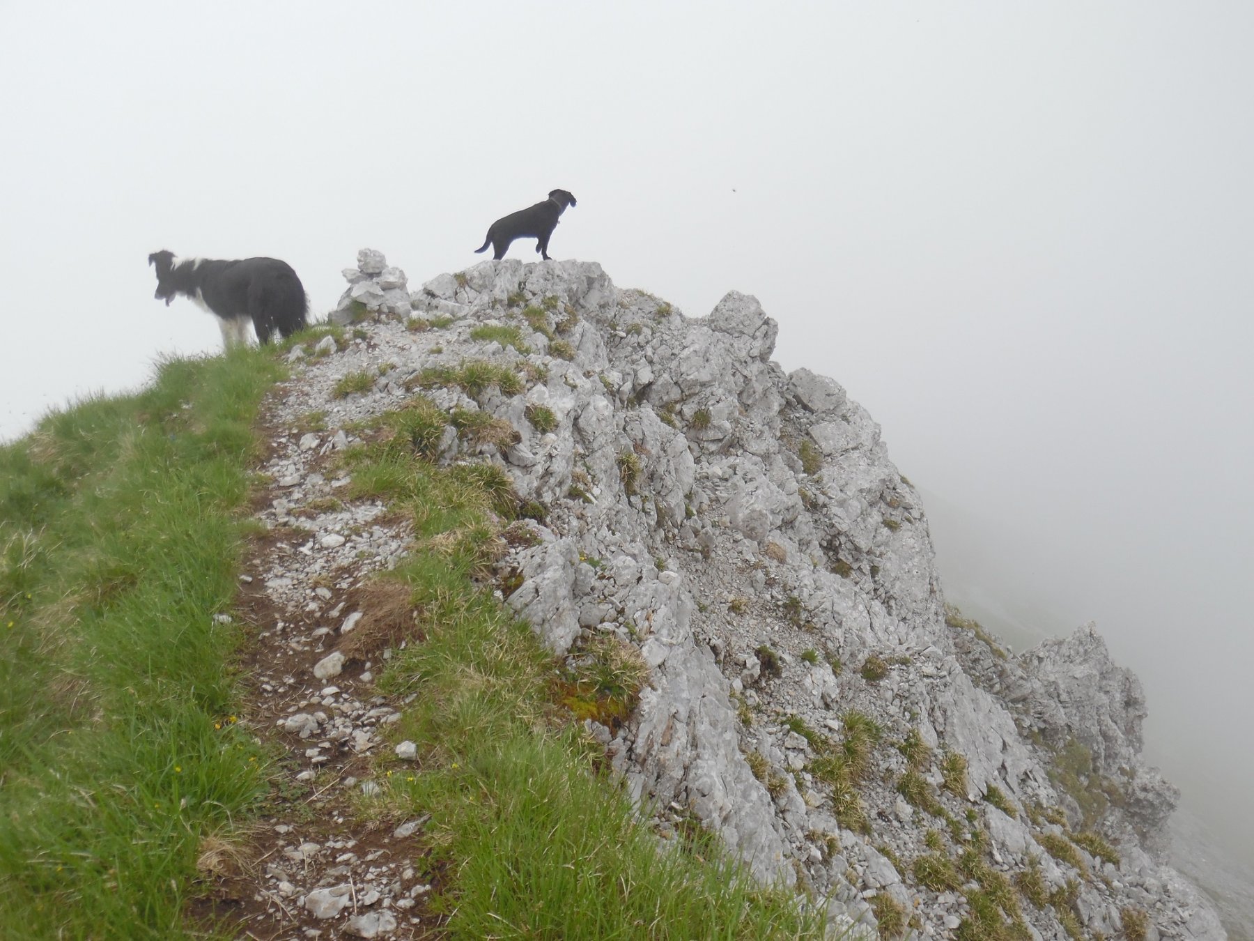 Pizzo Corzene 2196 m