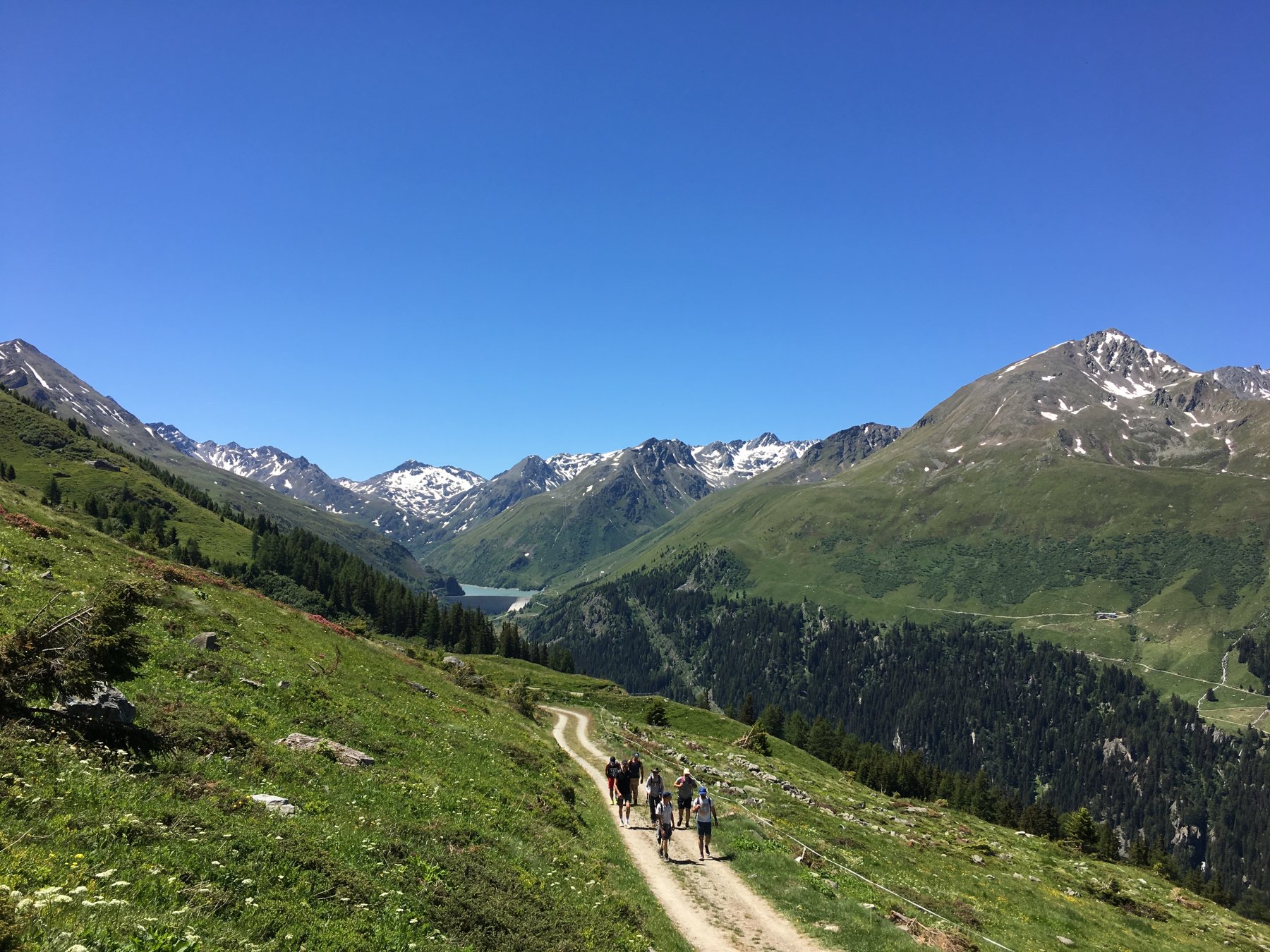 strada sterrata usciti dal bosco