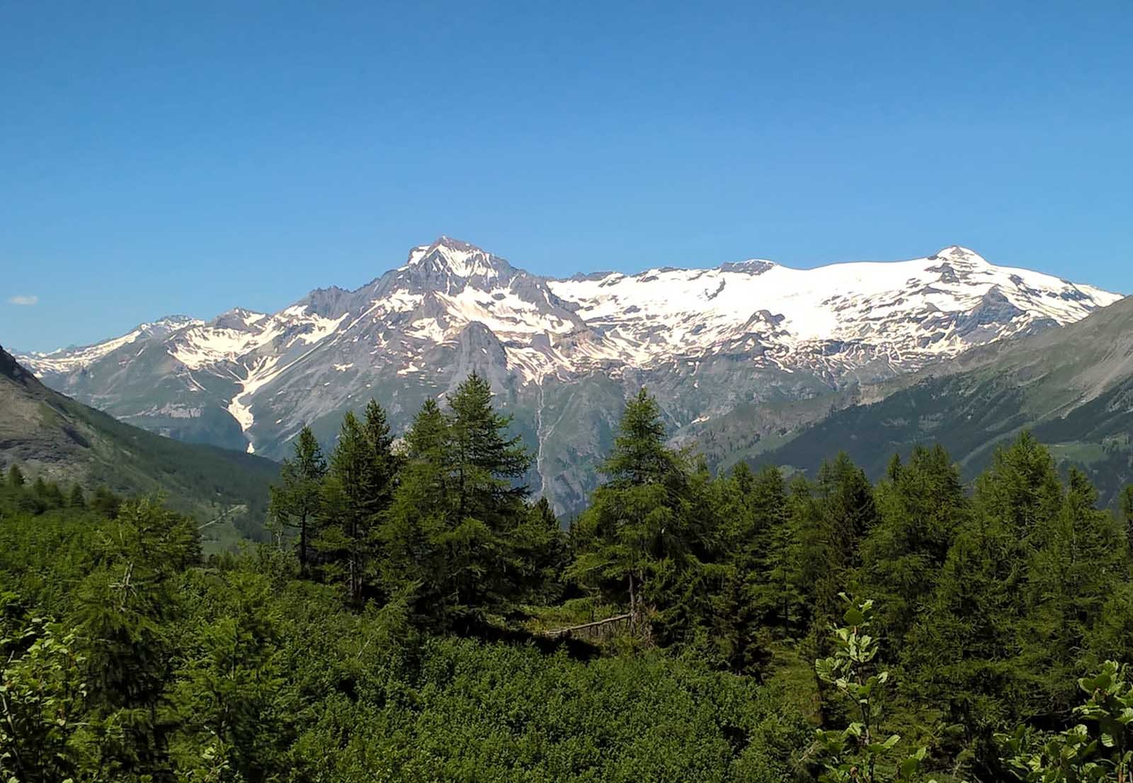 Parrachée-Chasseforet