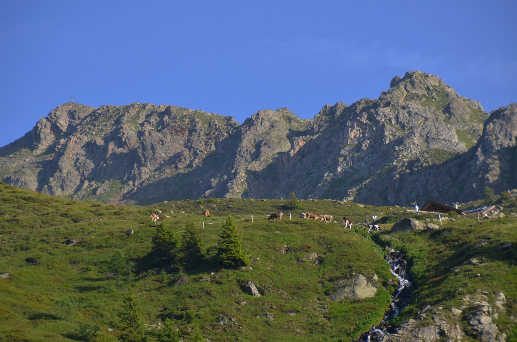 Malga Masa Murada 2046 m e, dietro, la Stùbele e il suo crinale sud-est