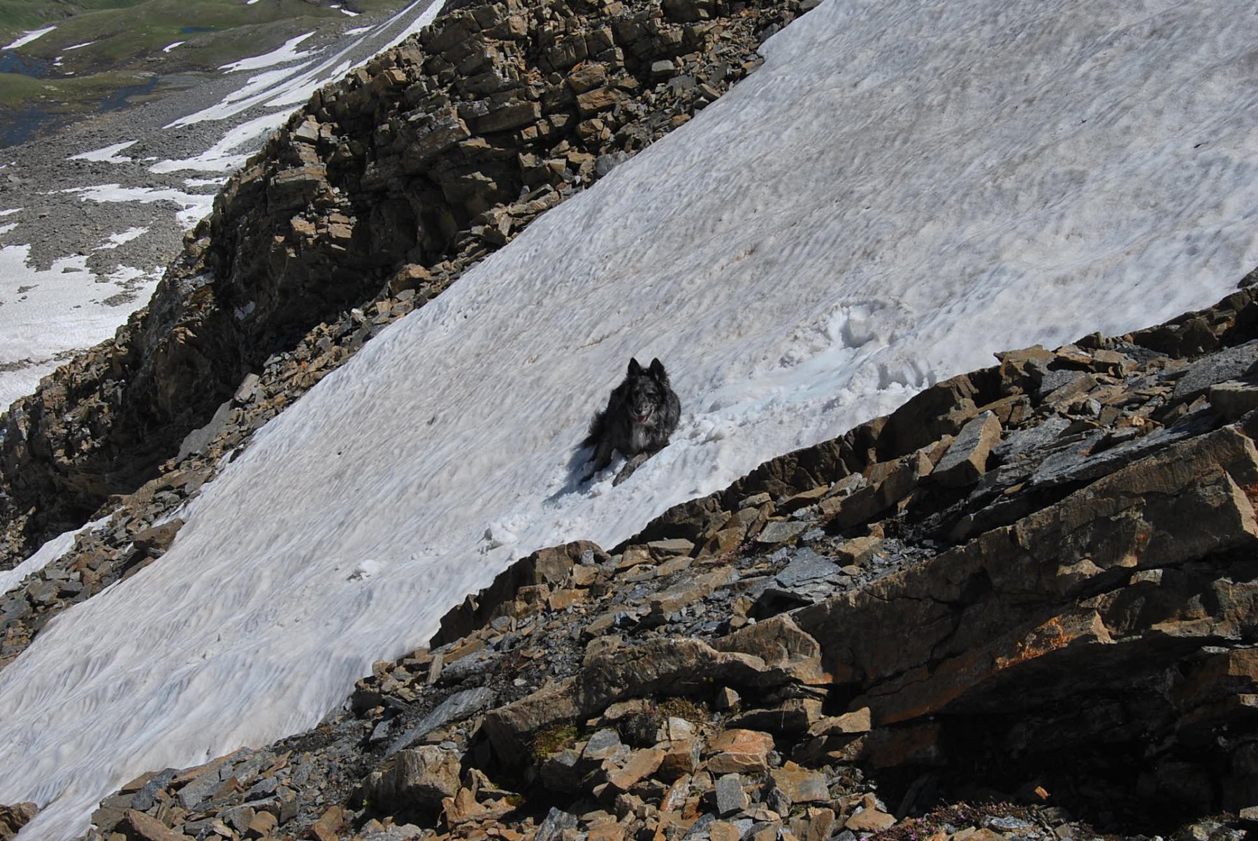 Il pendio sotto la Ceingles; ripido è bello ….