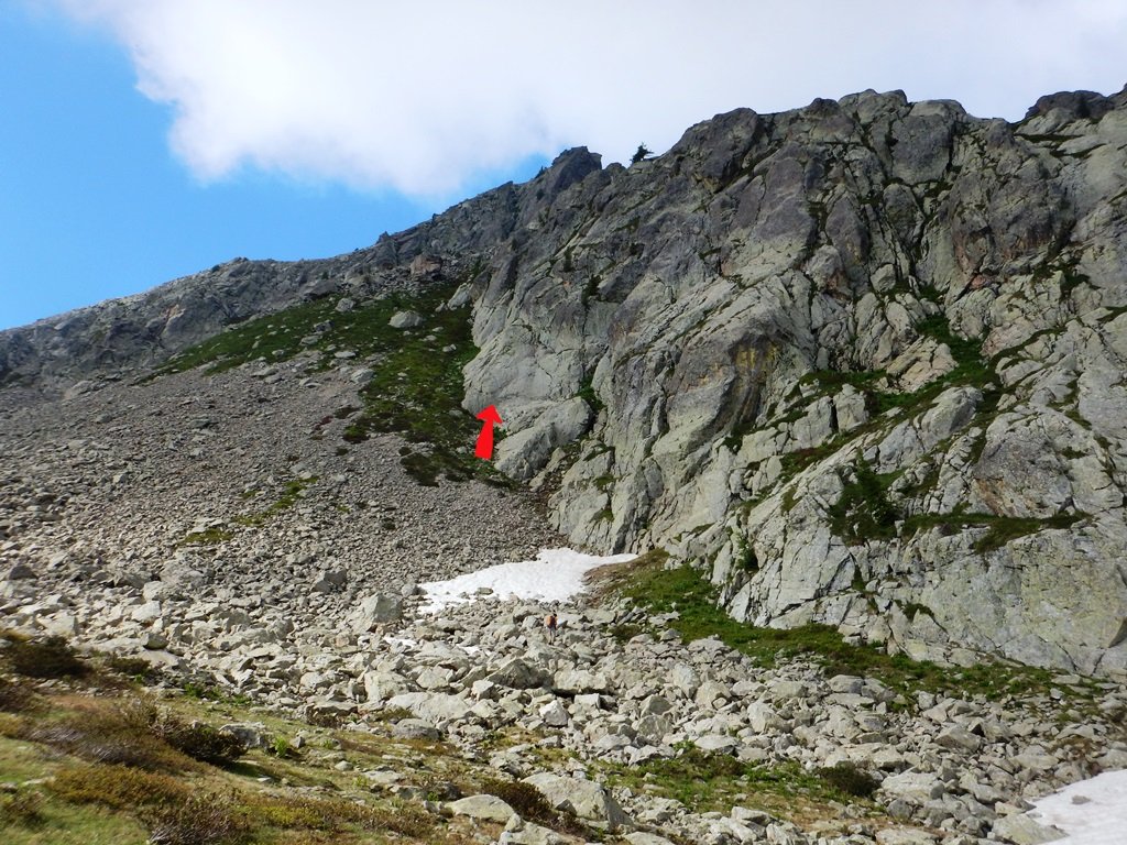 L' attacco dell'Orto segreto