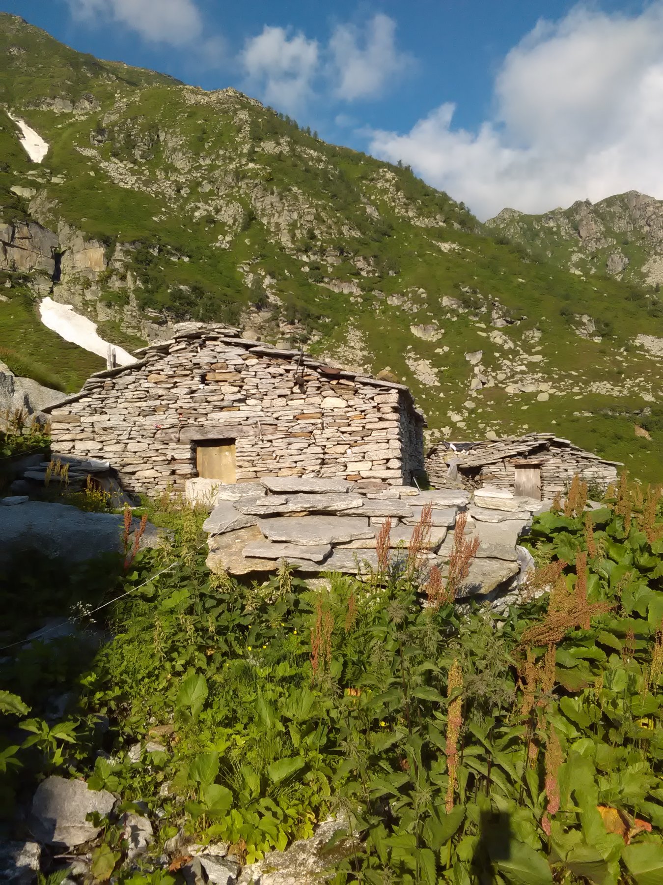 Alpe del Vallone