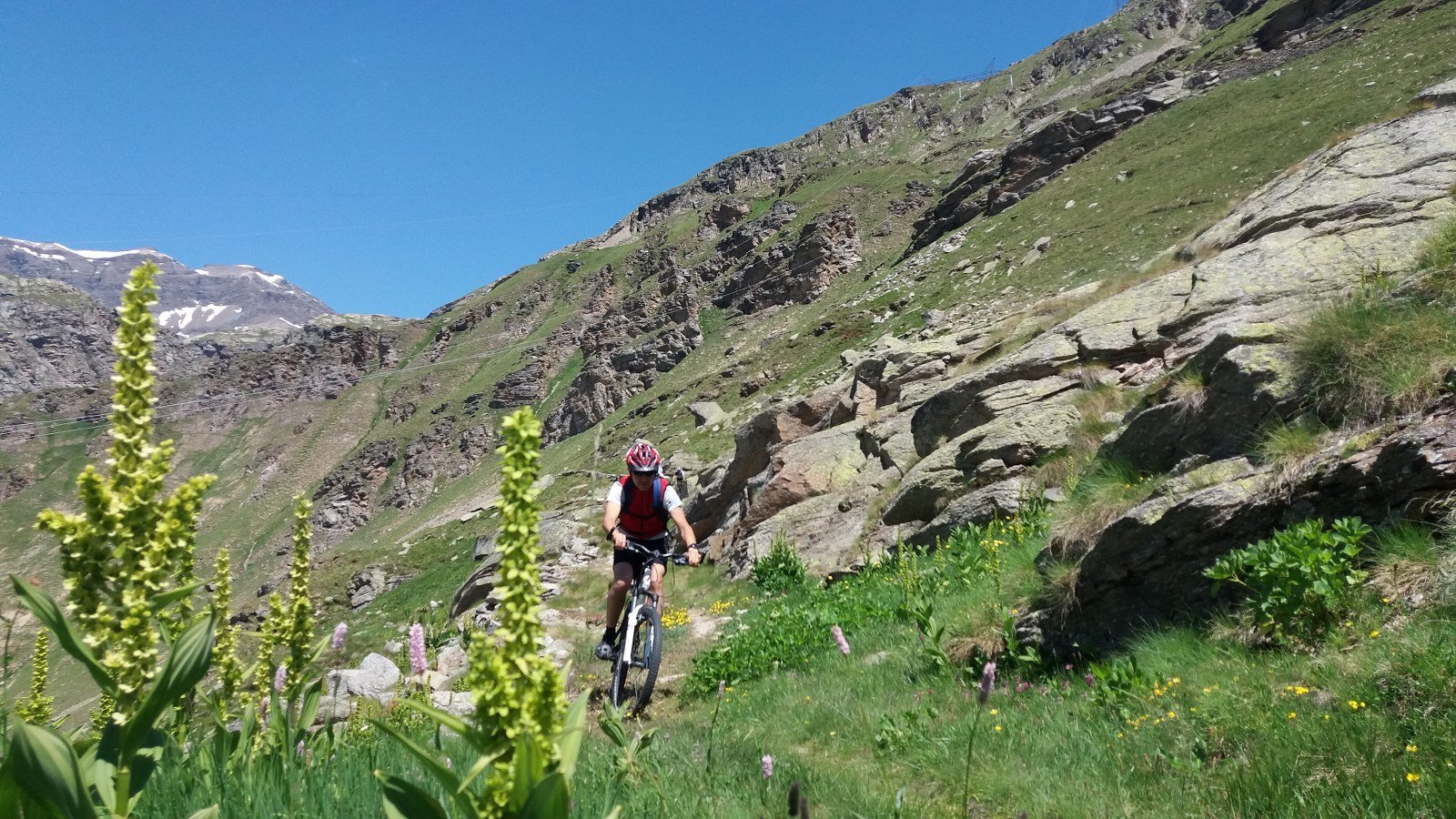 Single track dopo il Bastalon