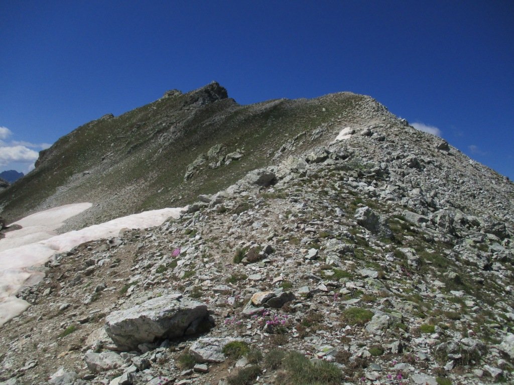 freide dal passo Lauset