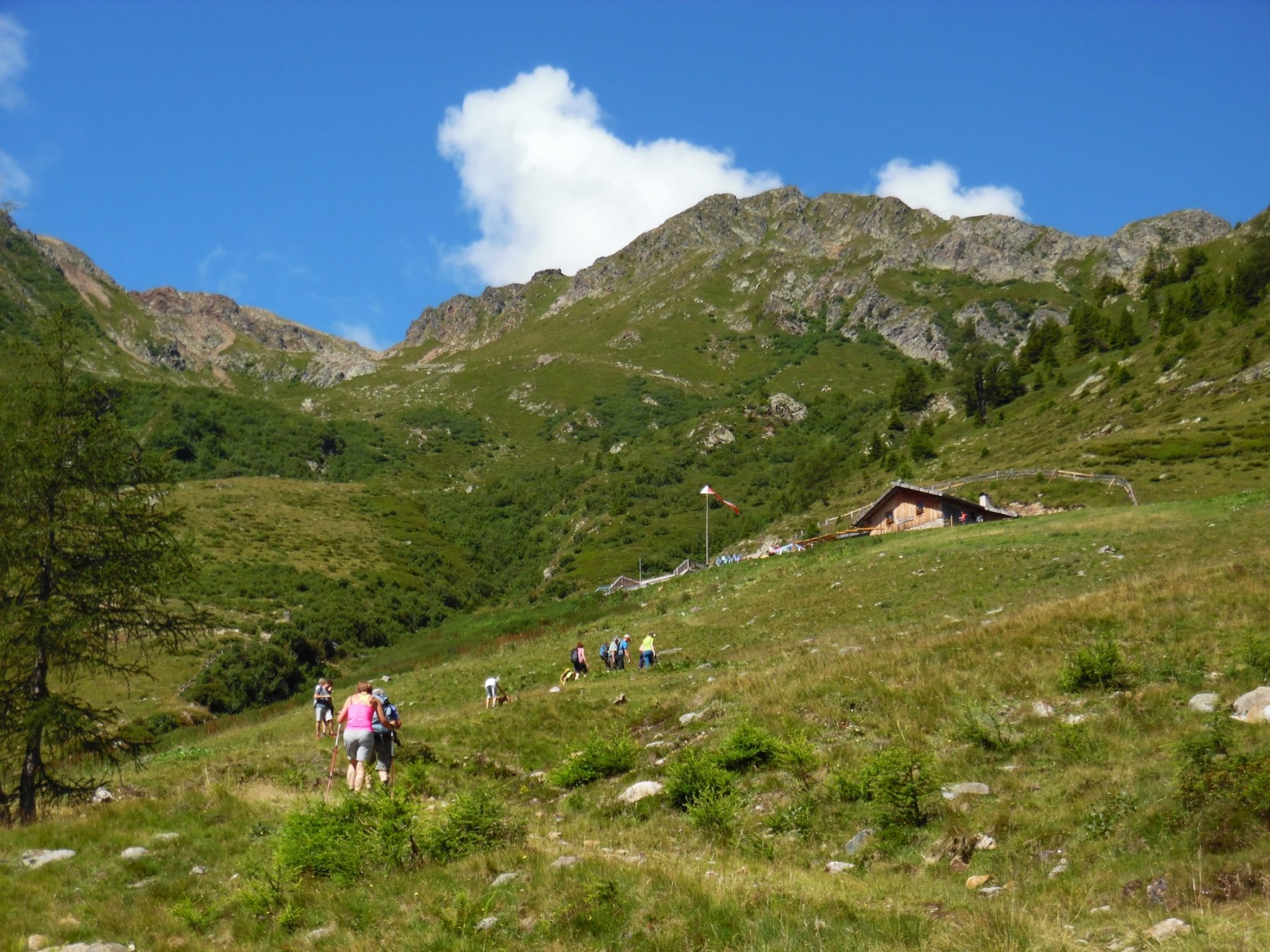 Gente verso la malga Manzara (Steinbergalm). Dietro la Lavazzè.