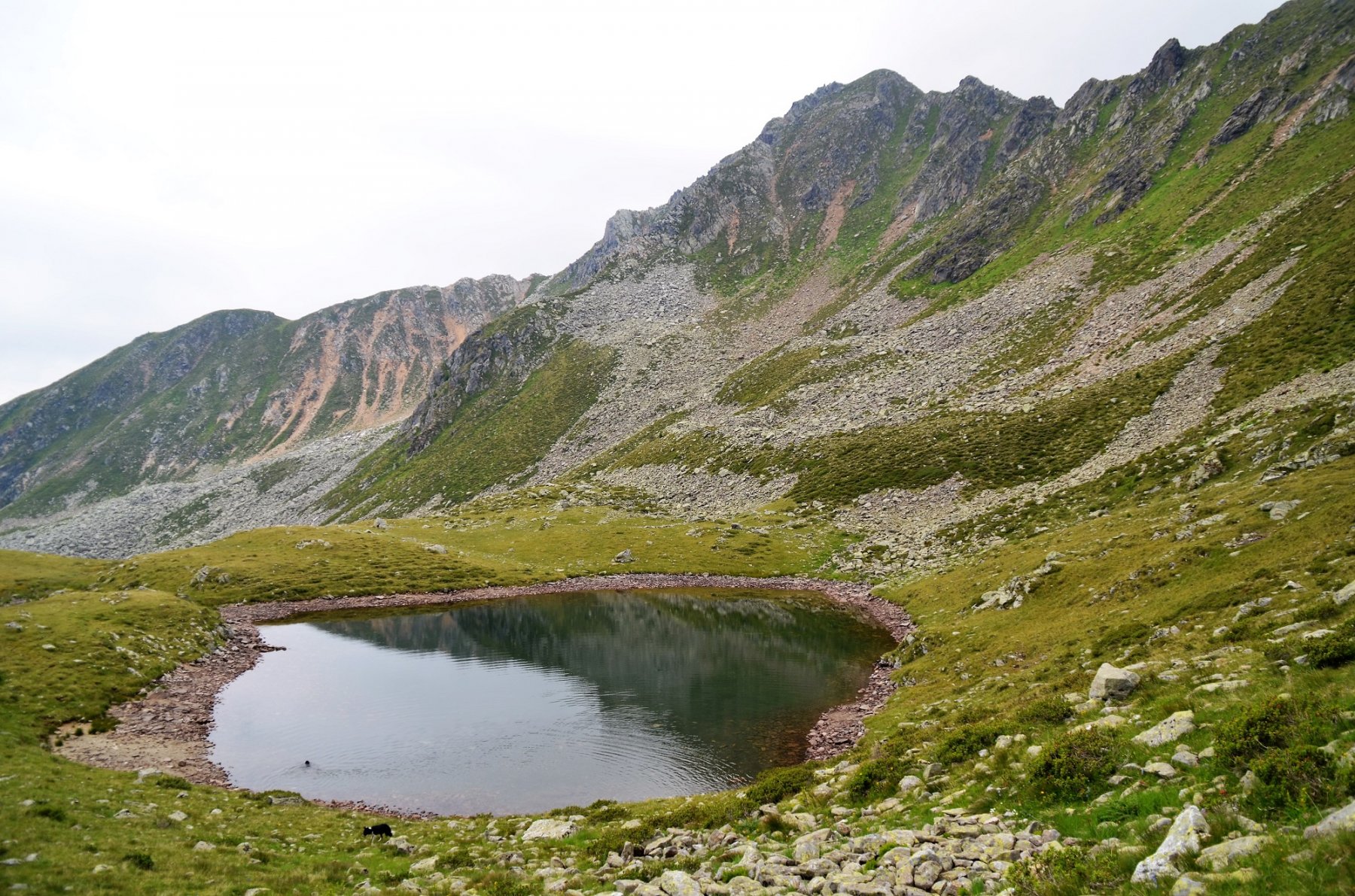 Lago Cemiglio. Dietro la cresta est della Seefeldspitze