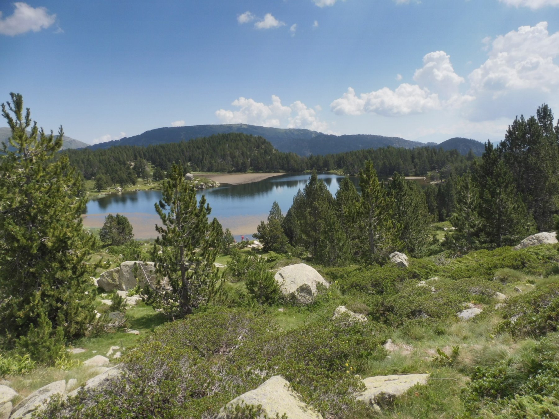 Splendidi laghetti tra i pini neri dei pirinei