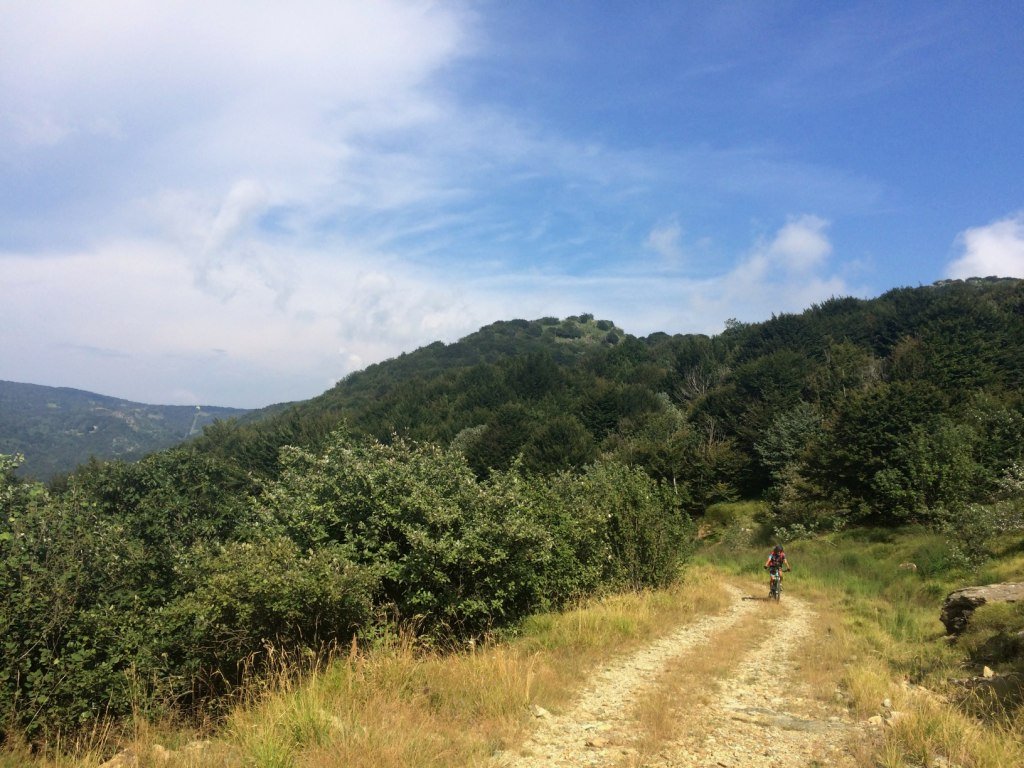 Tratto da Vara inf. al Passo del Faiallo.