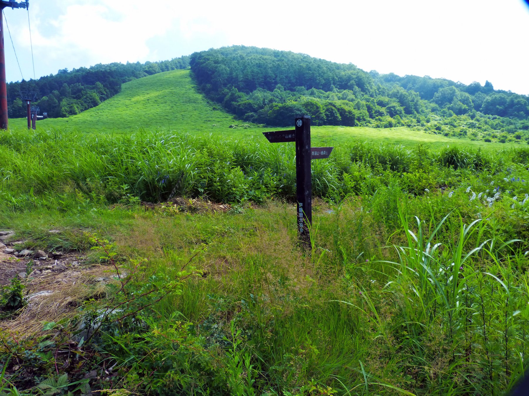 Poco sopra la Stazione di Risalita