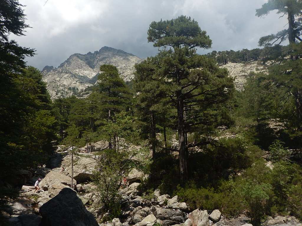 Ambiente alle cascate