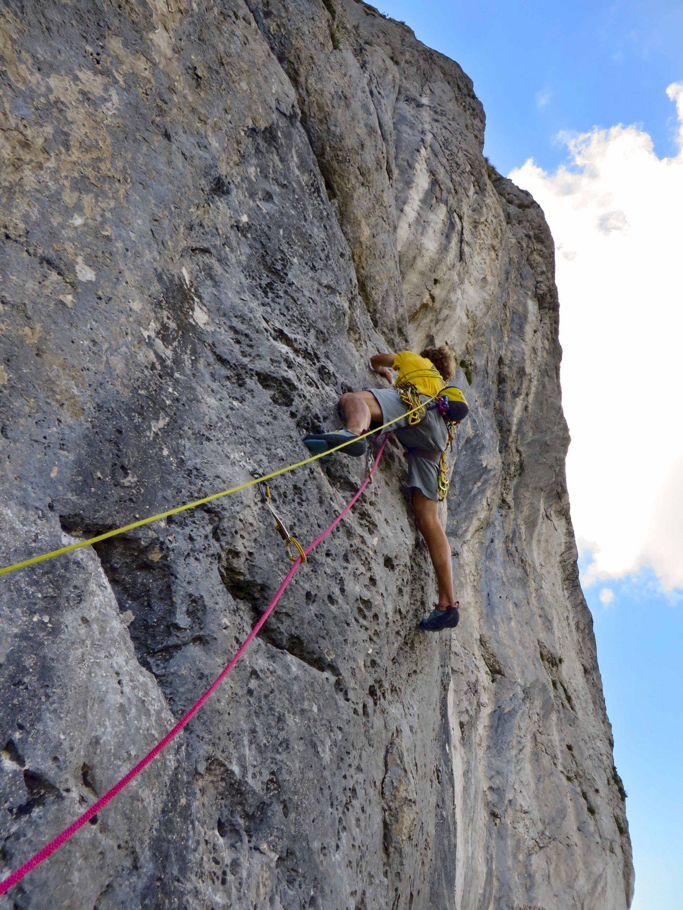 luca in libera su L4