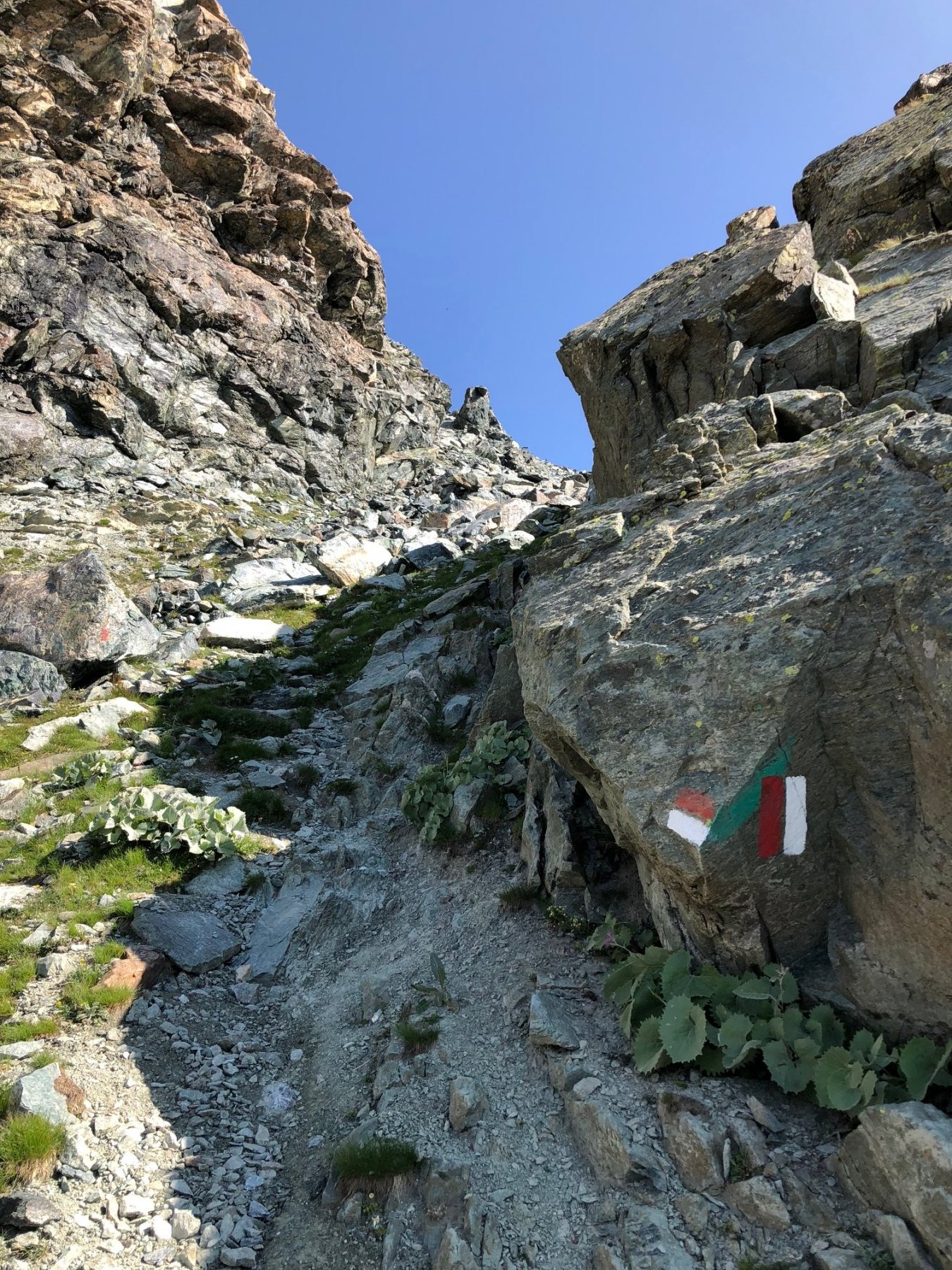 Il ripido sentiero che sale al Passe del Seillerino