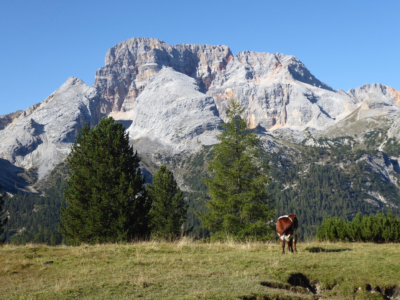 L'imponente Croda Rossa (Hohe Gaisl) dall'inizio del sentiero.