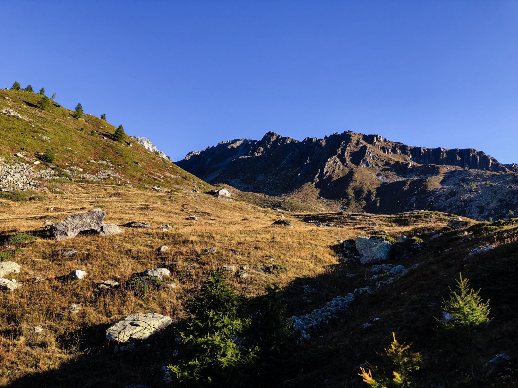 Pascoli romantici e brezzolina ancora delicata