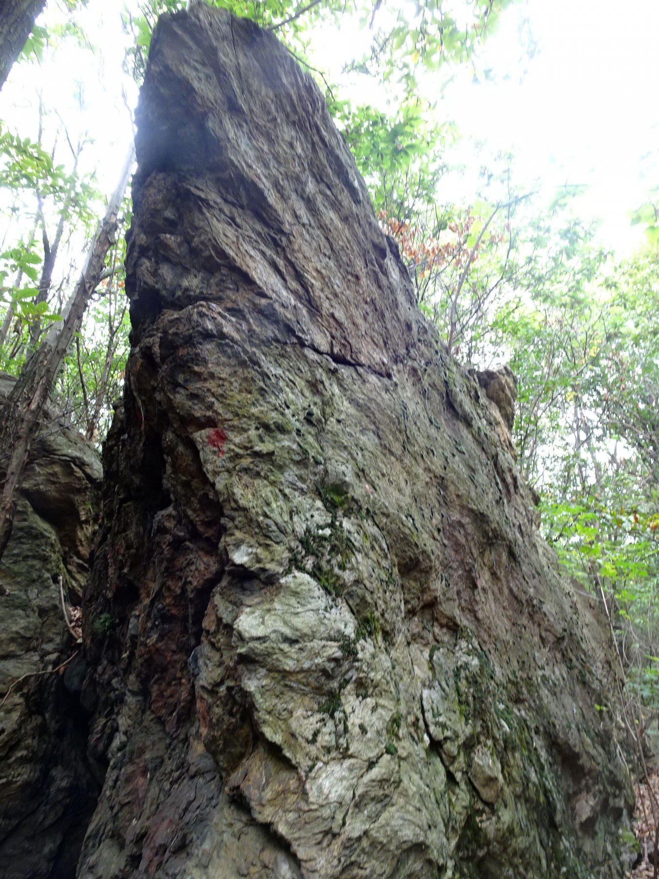 la Prua del masso sinistro