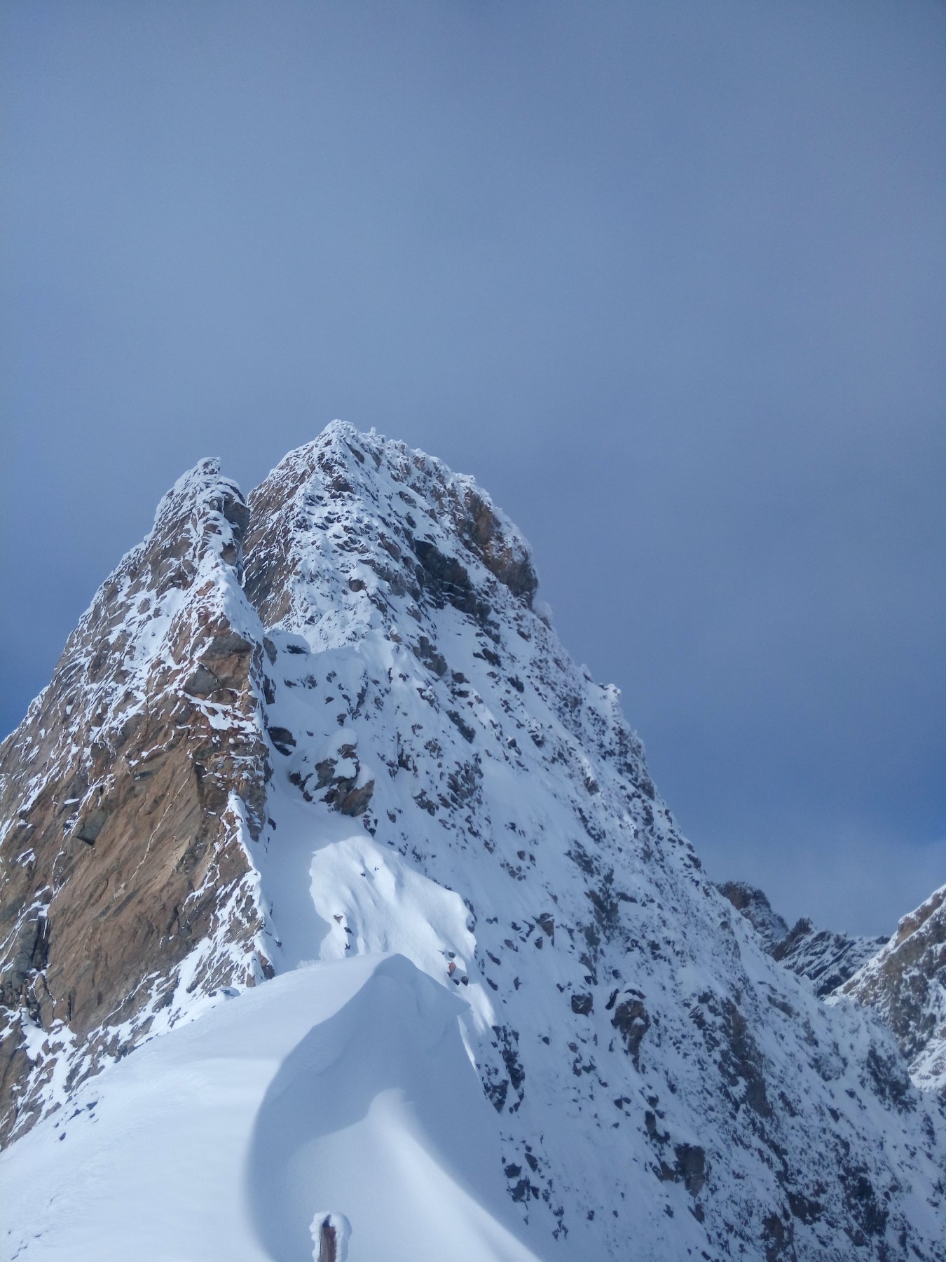 Pic d'asti patagonico