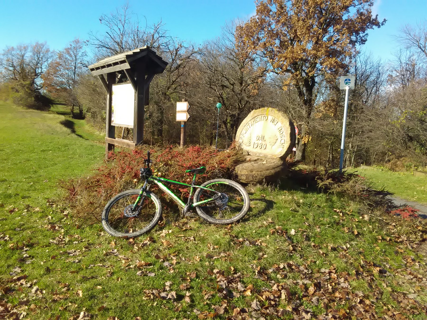 Pietra dell' appuntamento nel bosco