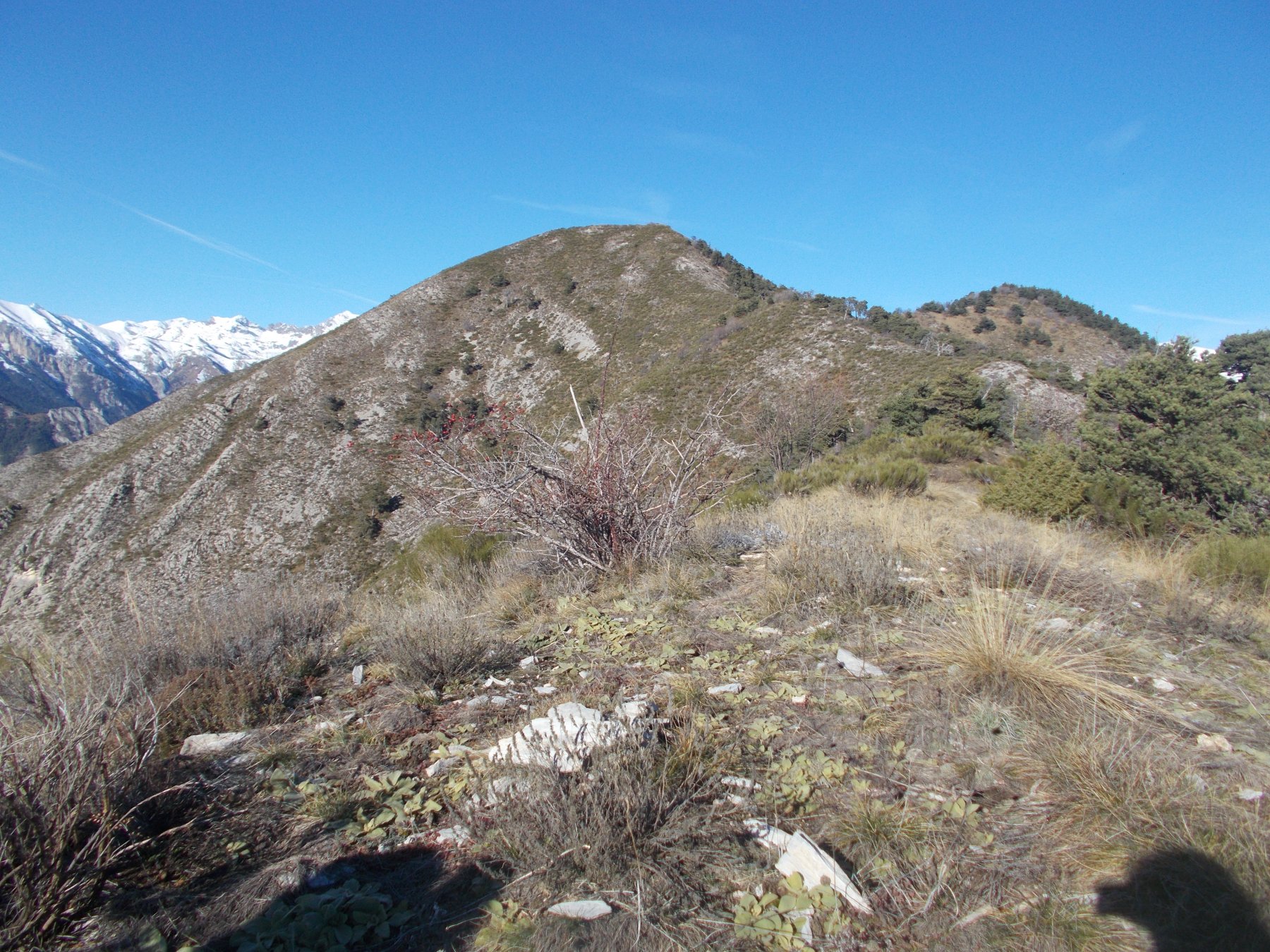il Bergiorin dalla Cime des Larderes..