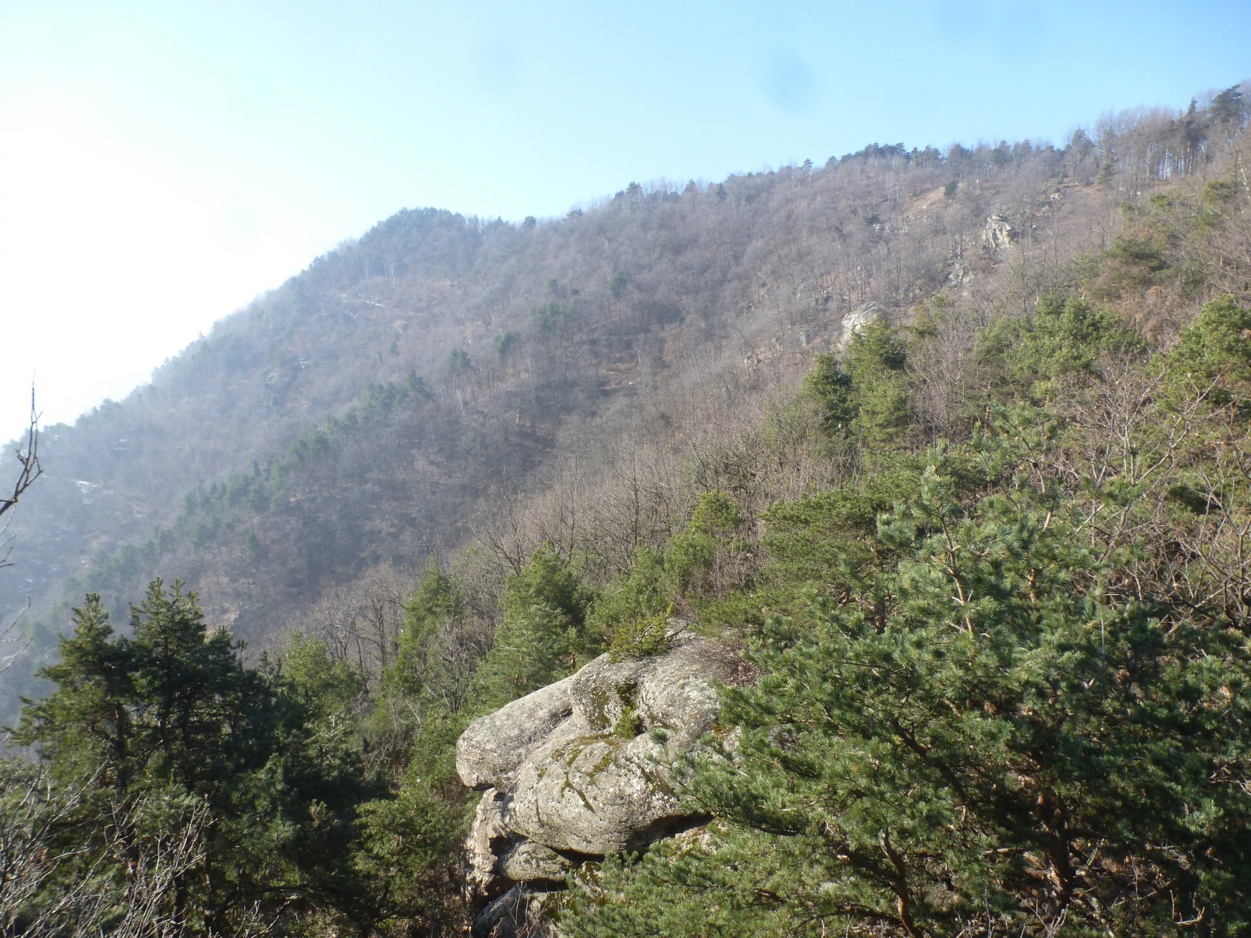 verso il monte muretto