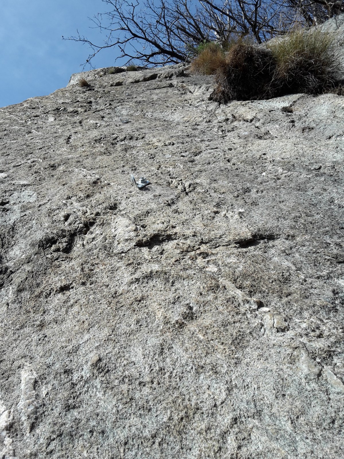 la bella placca del secondo tiro