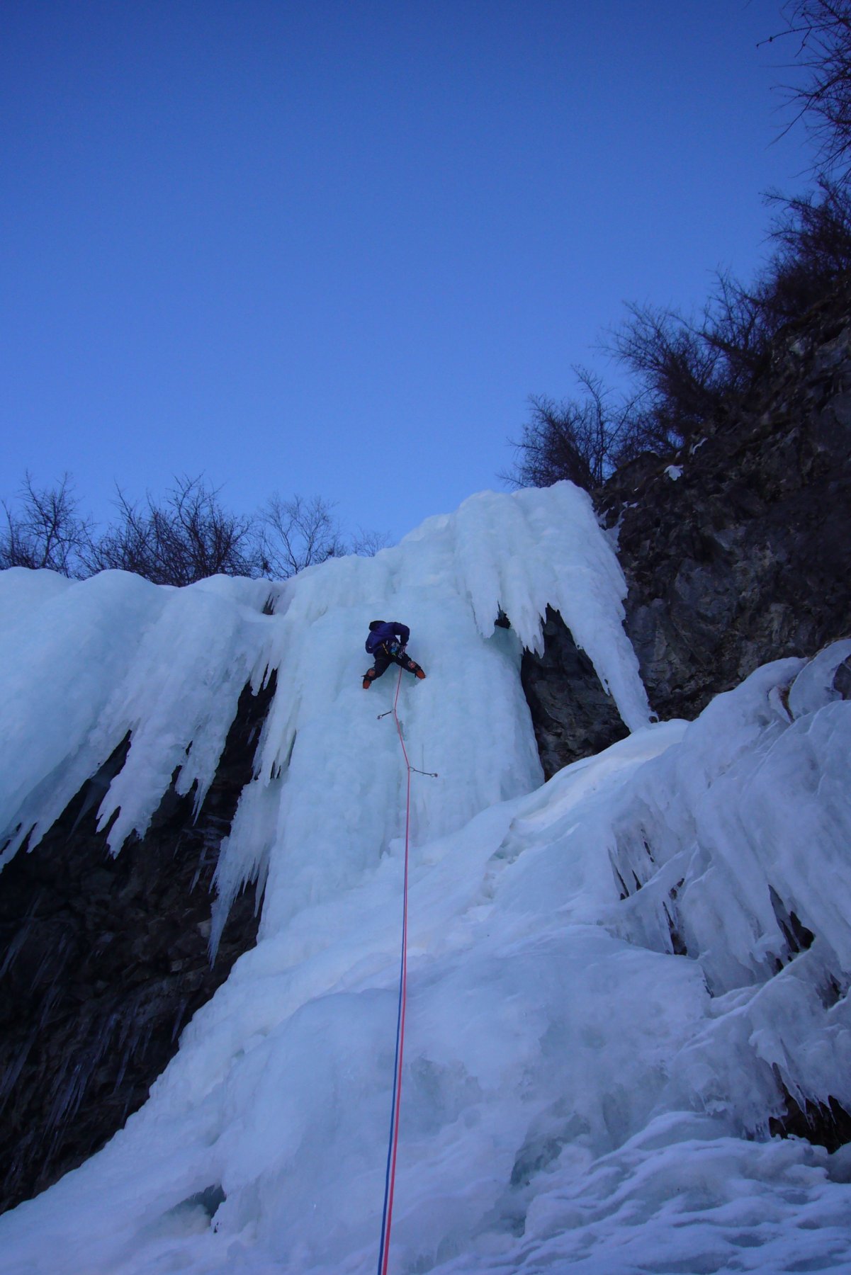 Petit piochon dans le cigare de droite