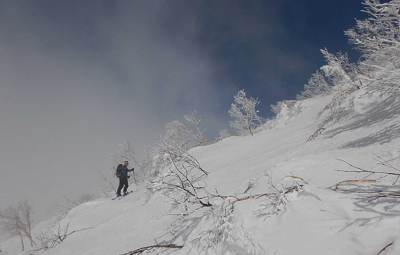 sui pendii inferiori del Mt Yotei