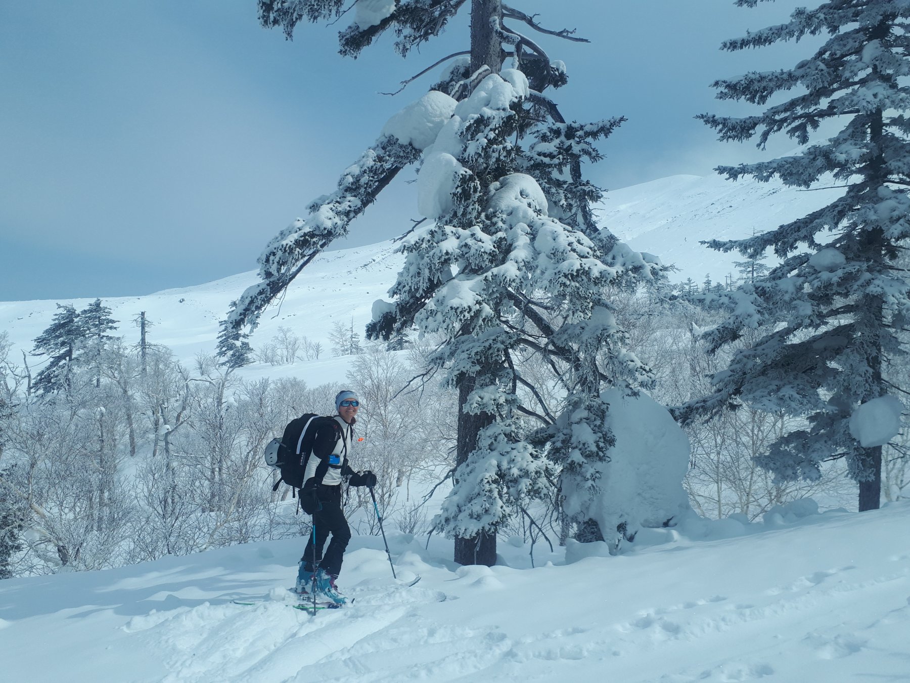 salendo nei boschi del Tokachi-dake