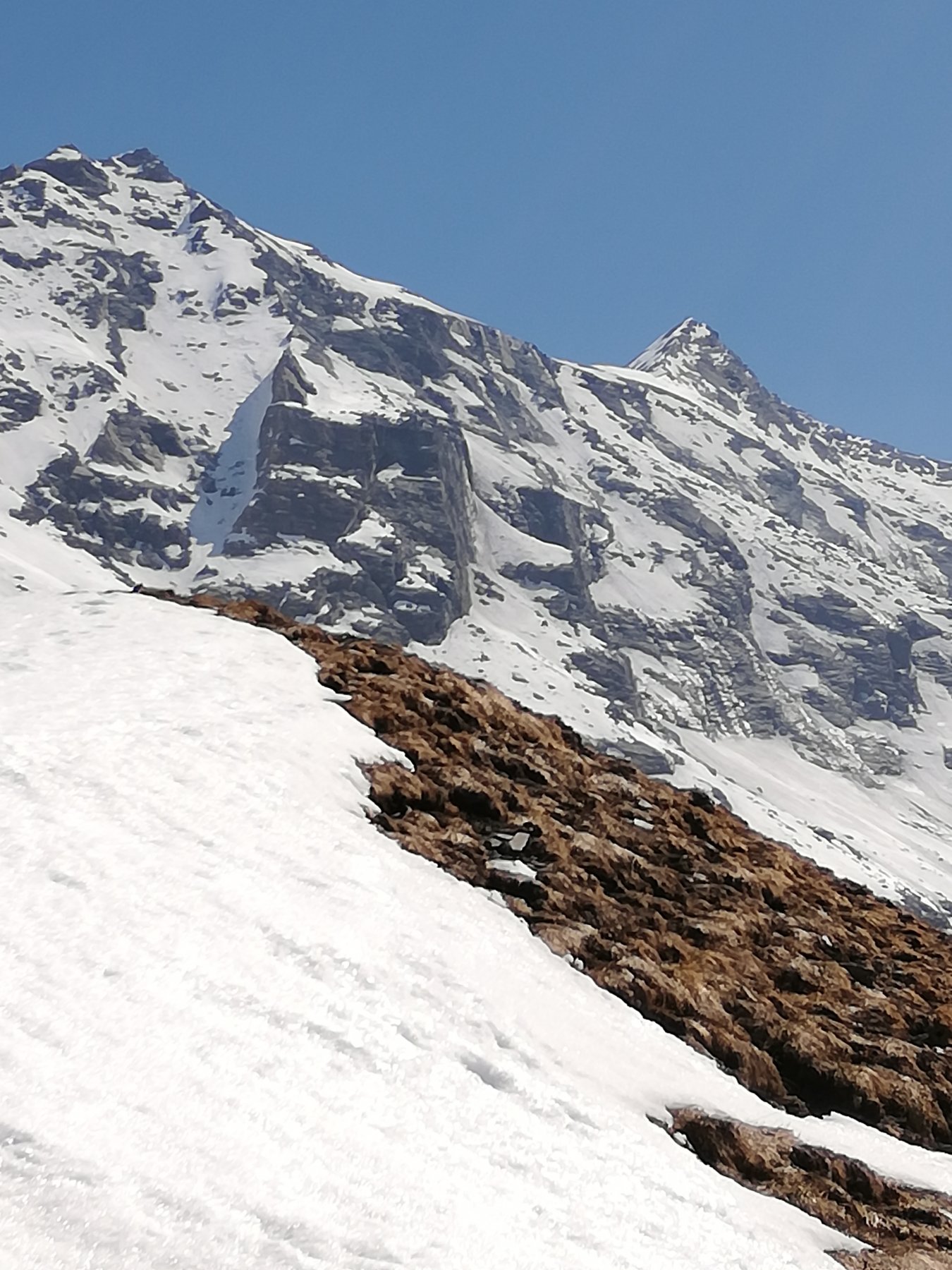 Il Rocciamelone visto dallo Stellina