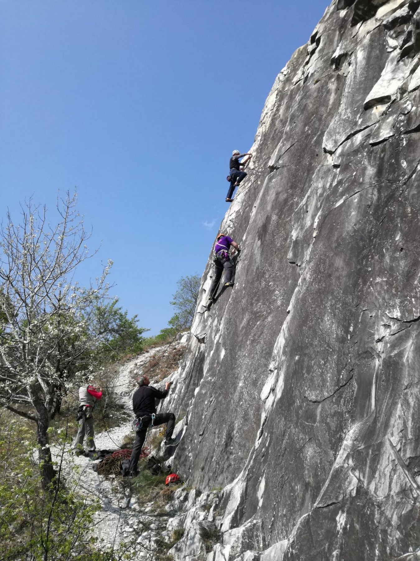 Spigolo del colibrì e Paperoga