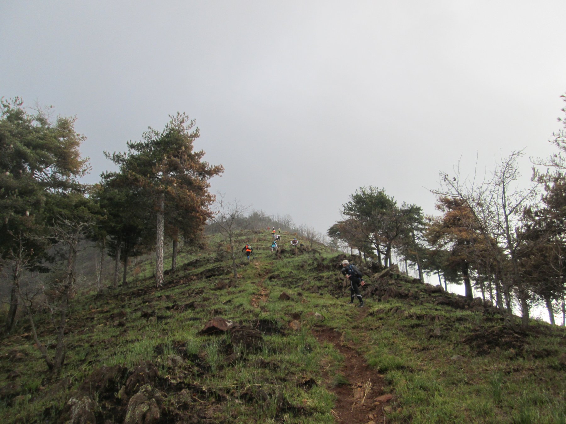 verso la parte finale