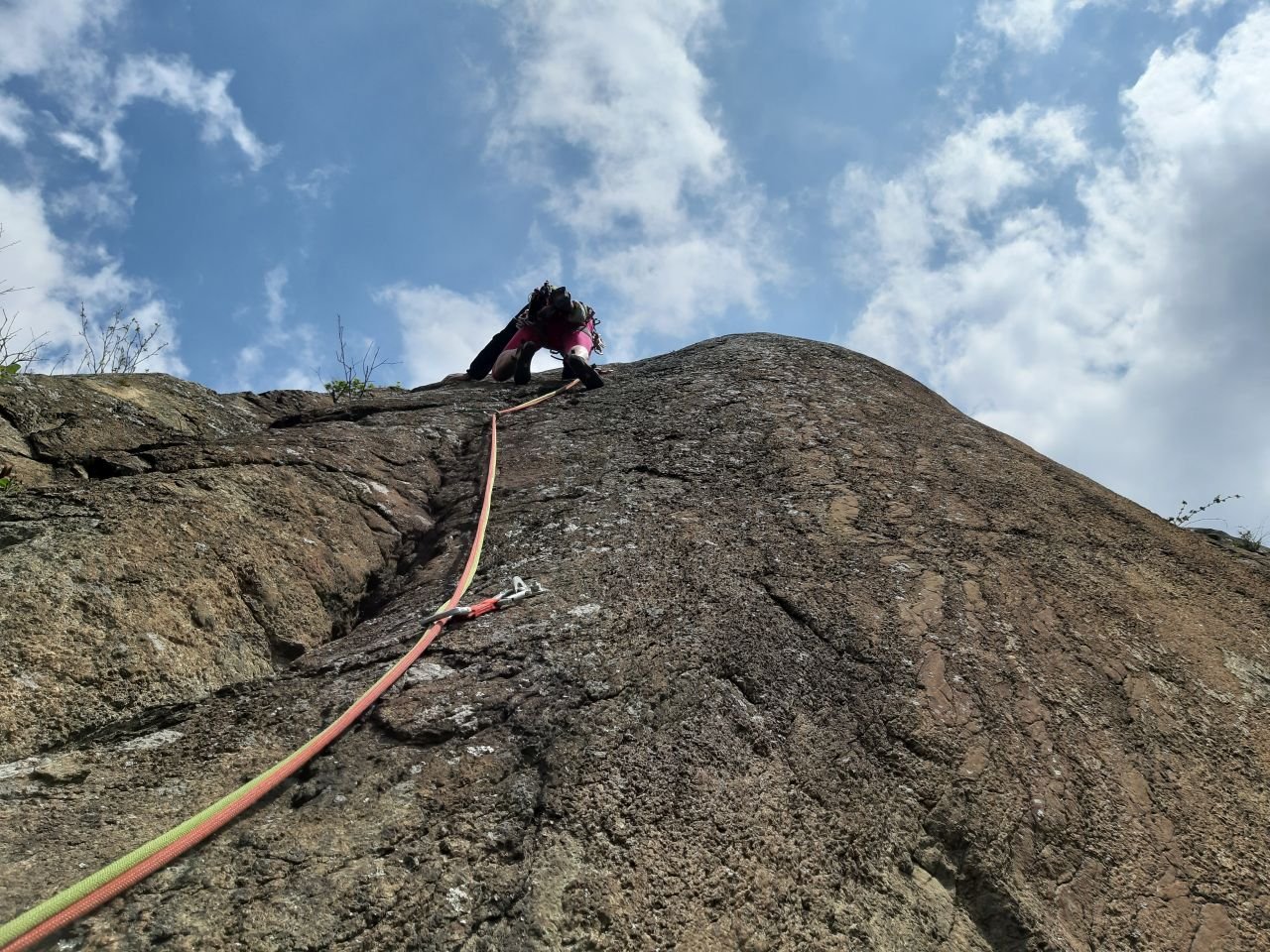 L3 Ritorno dei Narcisi