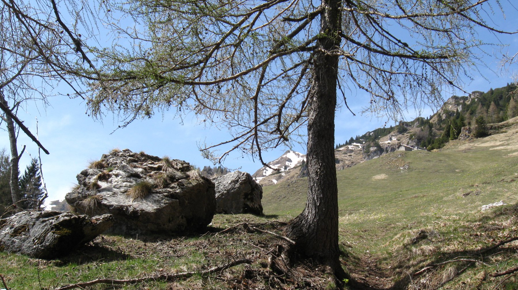 verso casera Busnich