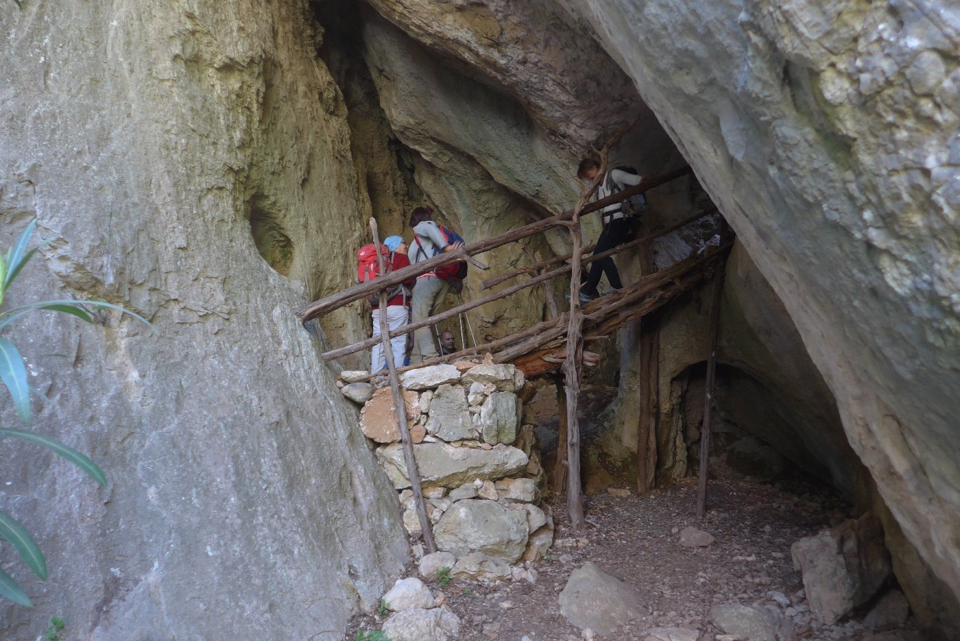 Scendendo sulle scale di ginepro