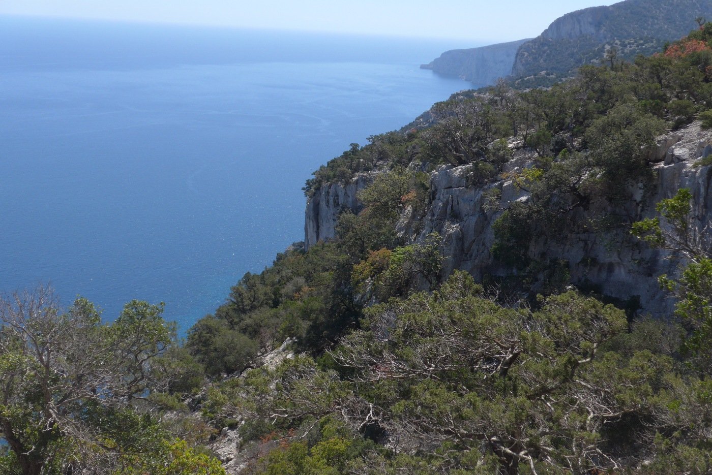 Panorama verso sud dall'ovile Piddi