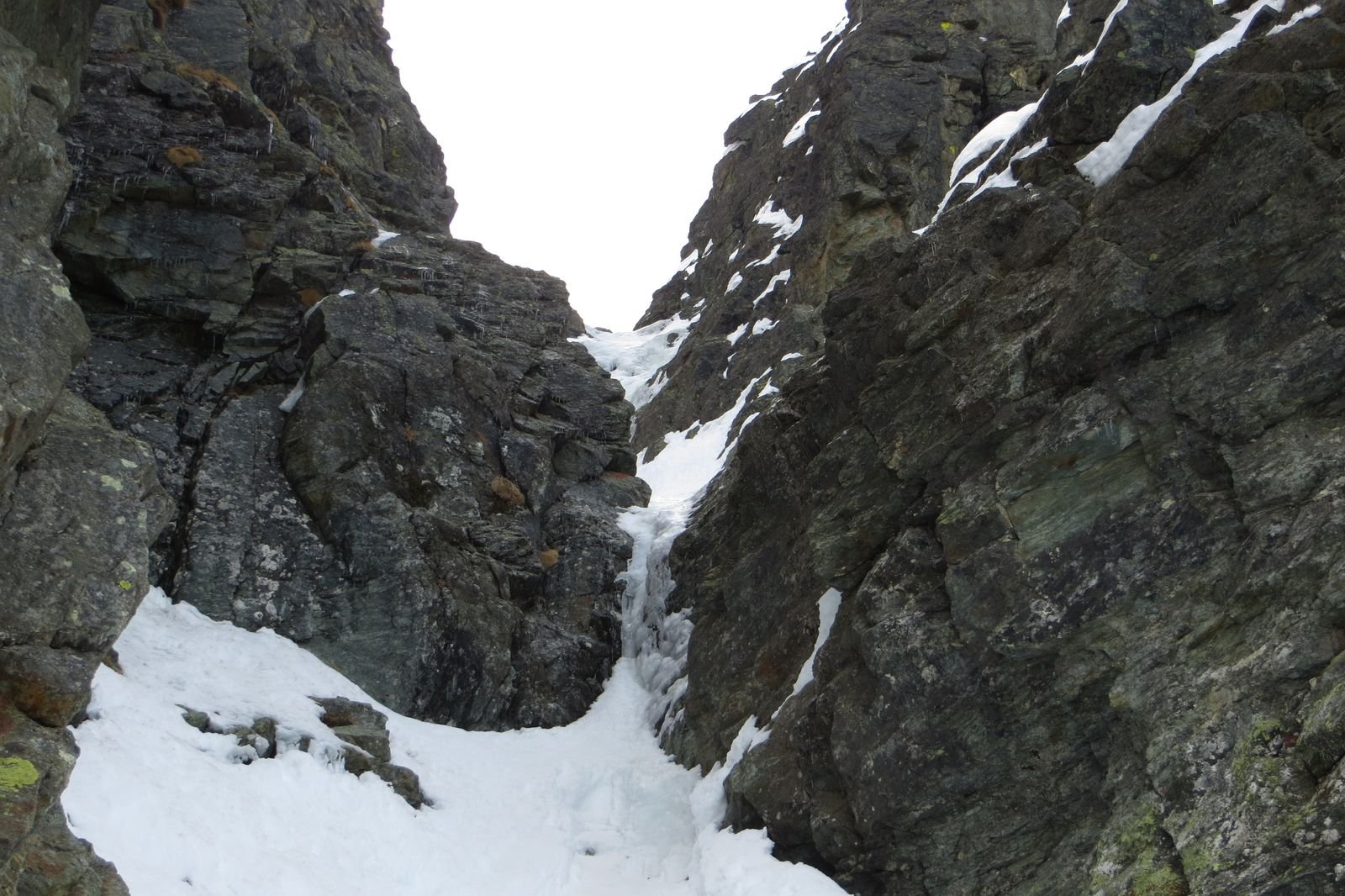 il primo tiro oggi, con il ghiaccio