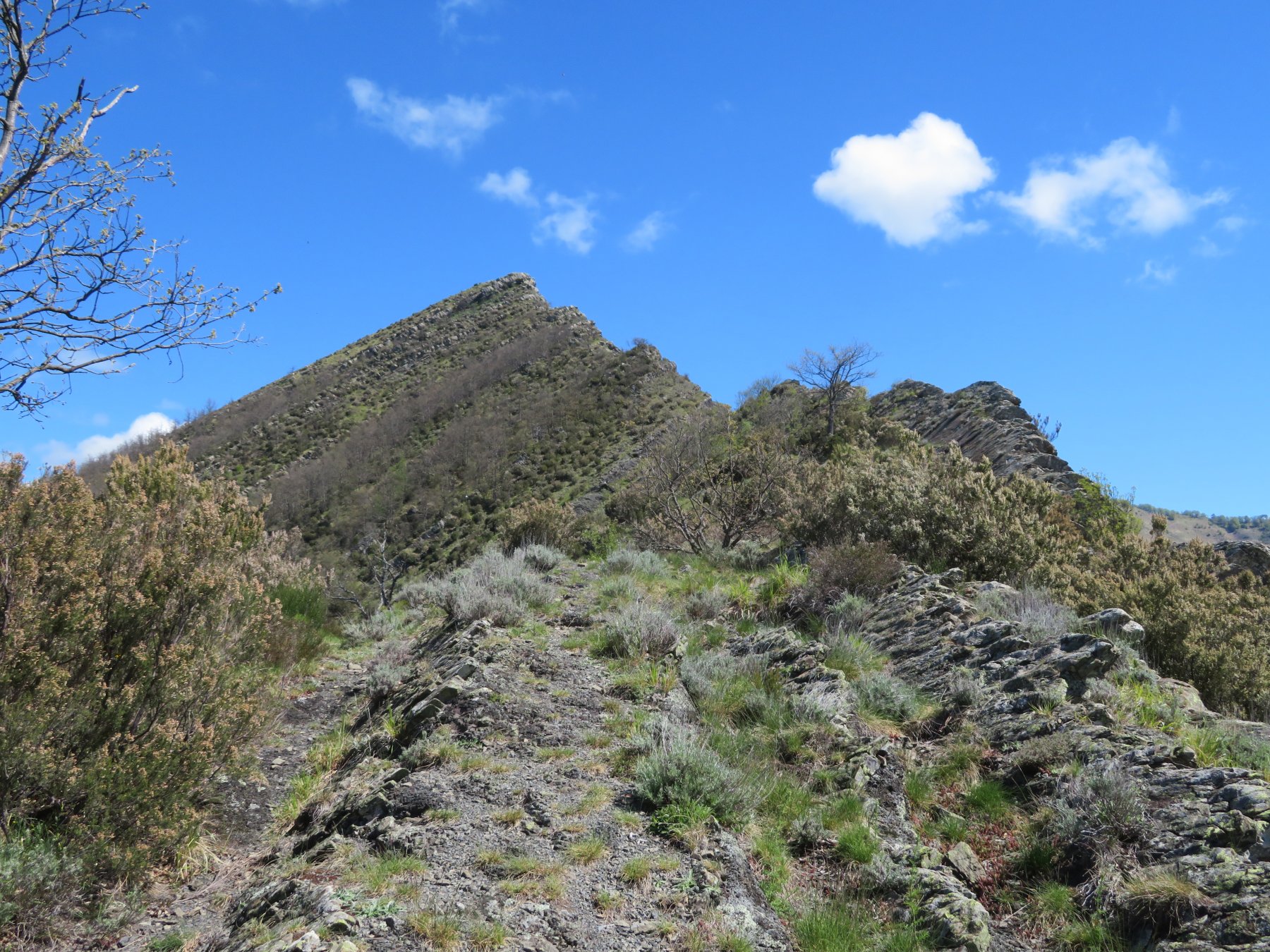Il Dente, visto dal Passo omonimo