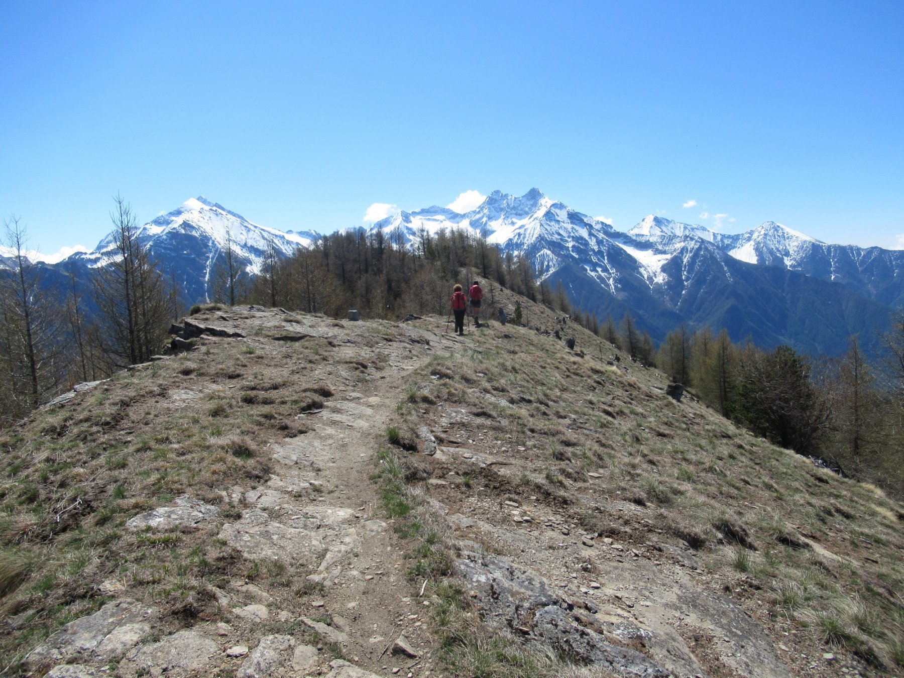 Sul crinale quasi in cima