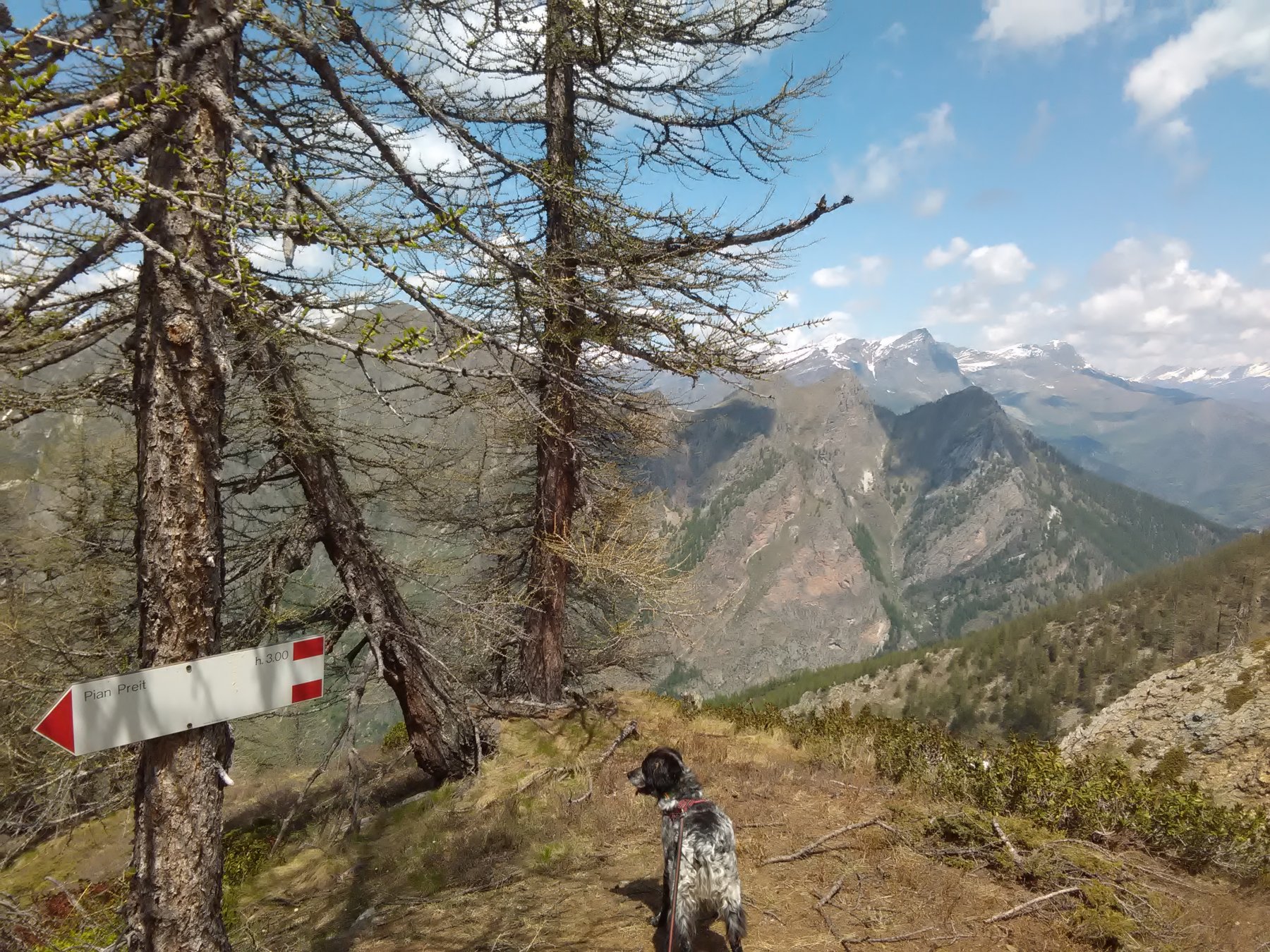 Bivio per Pian Preit