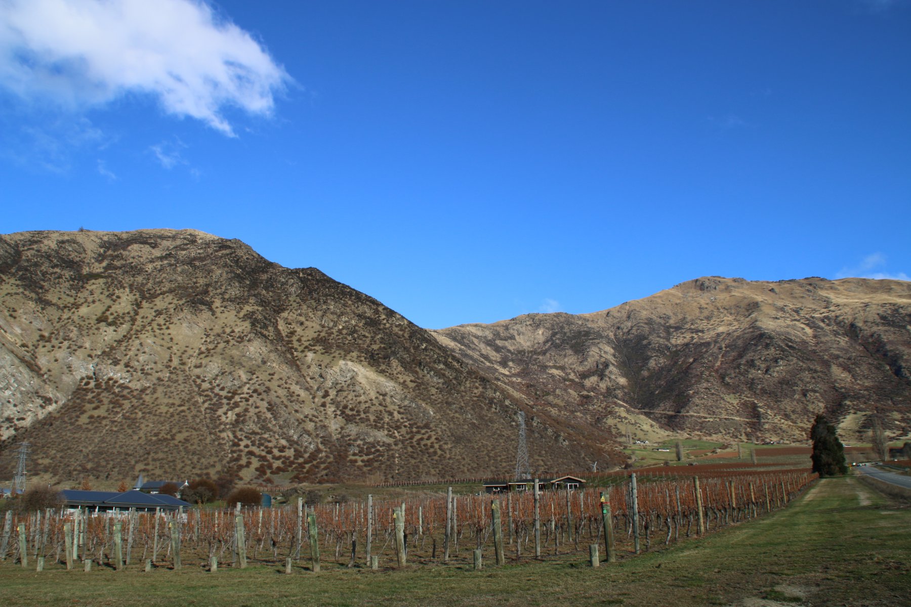 i vigneti della Gibston Valley con il Mount Mason a sinistra e il Mount Rosa a destra