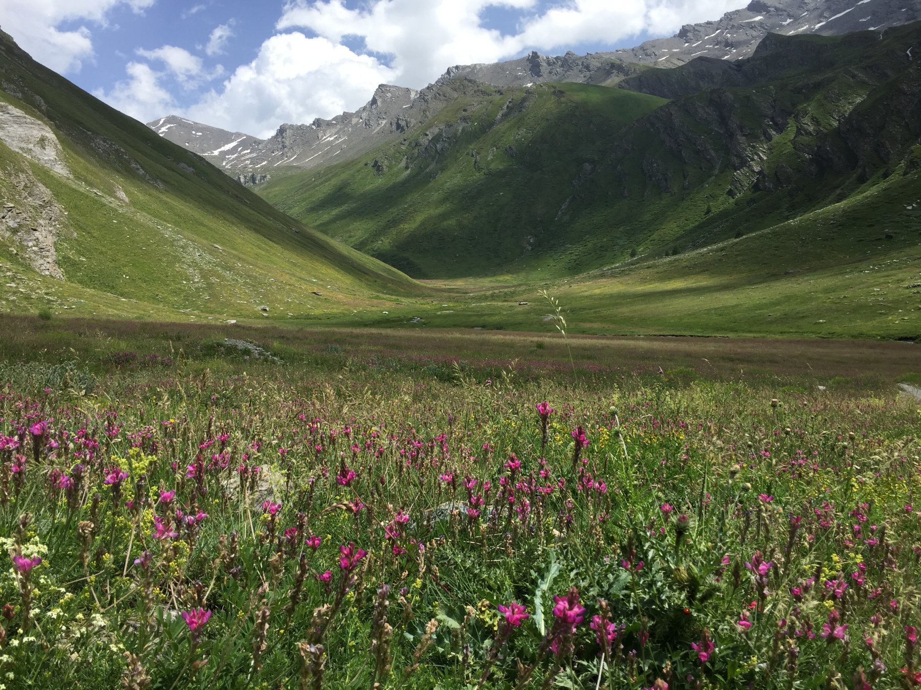 Vallone di Soustra, sullo sfondo la Losetta