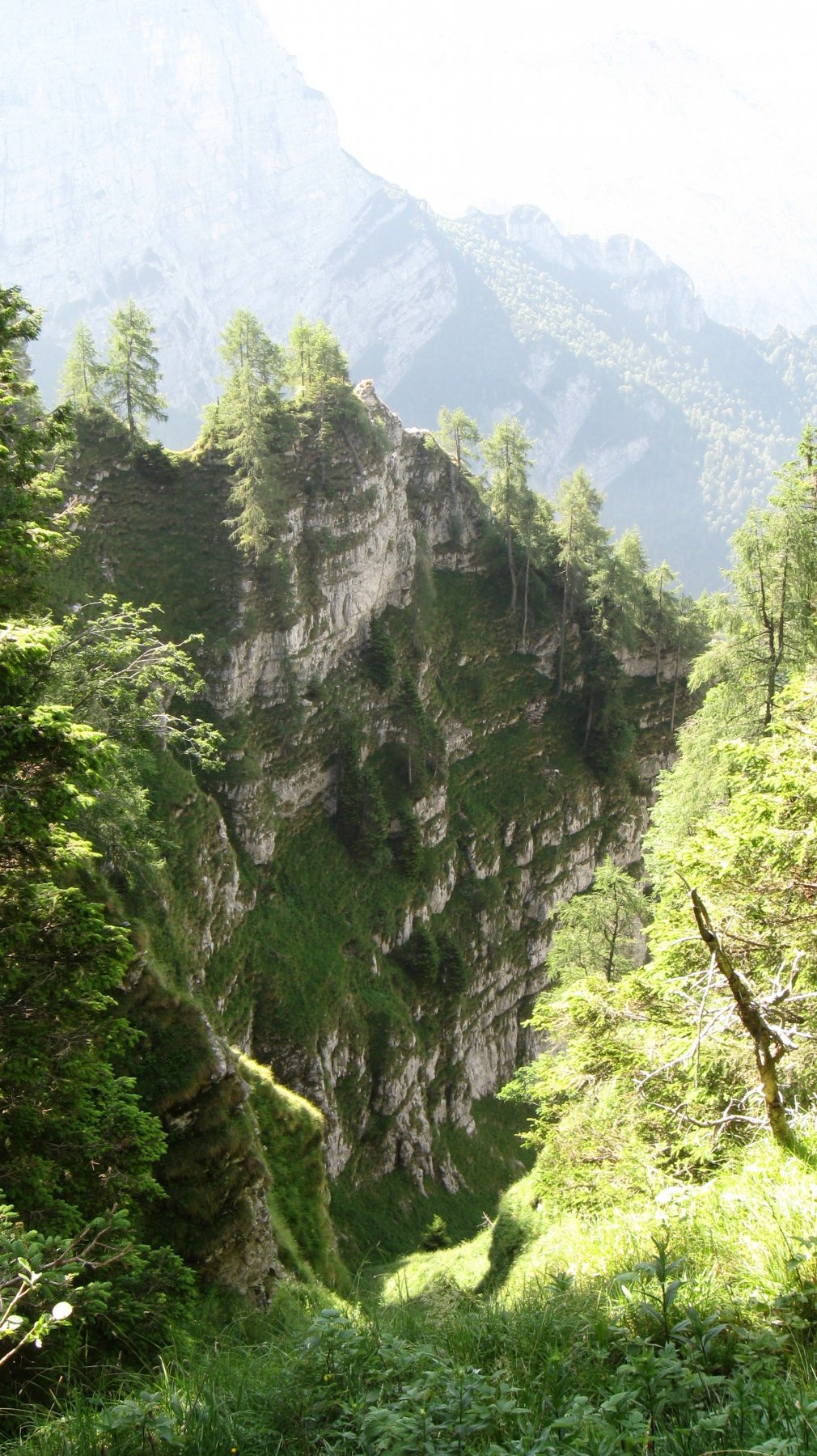 Boral de l'Ors - notare le cenge.