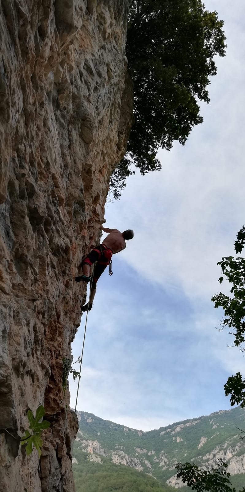 In azione su Van Goog