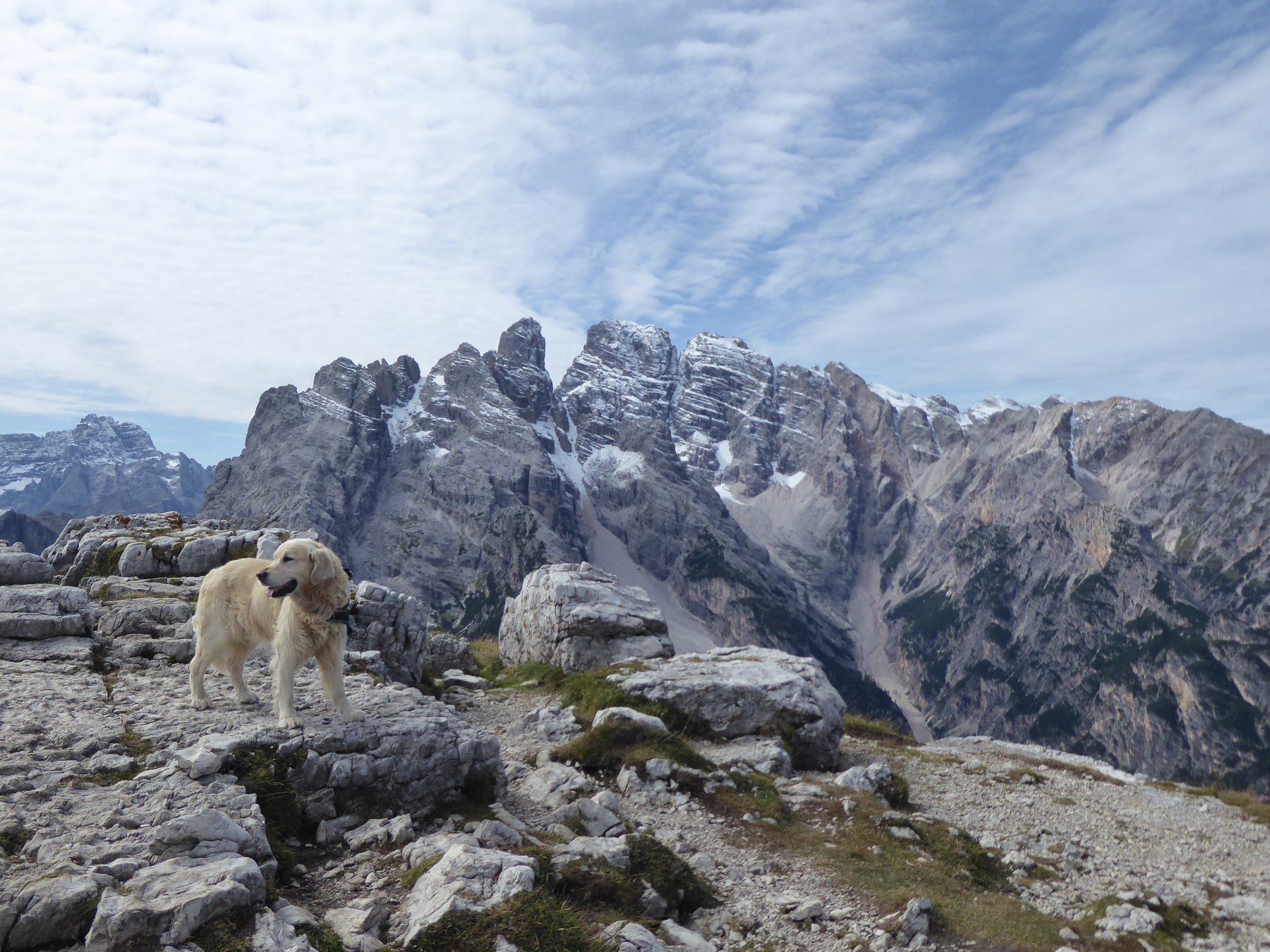 Charlie con il M.te Cristallo.