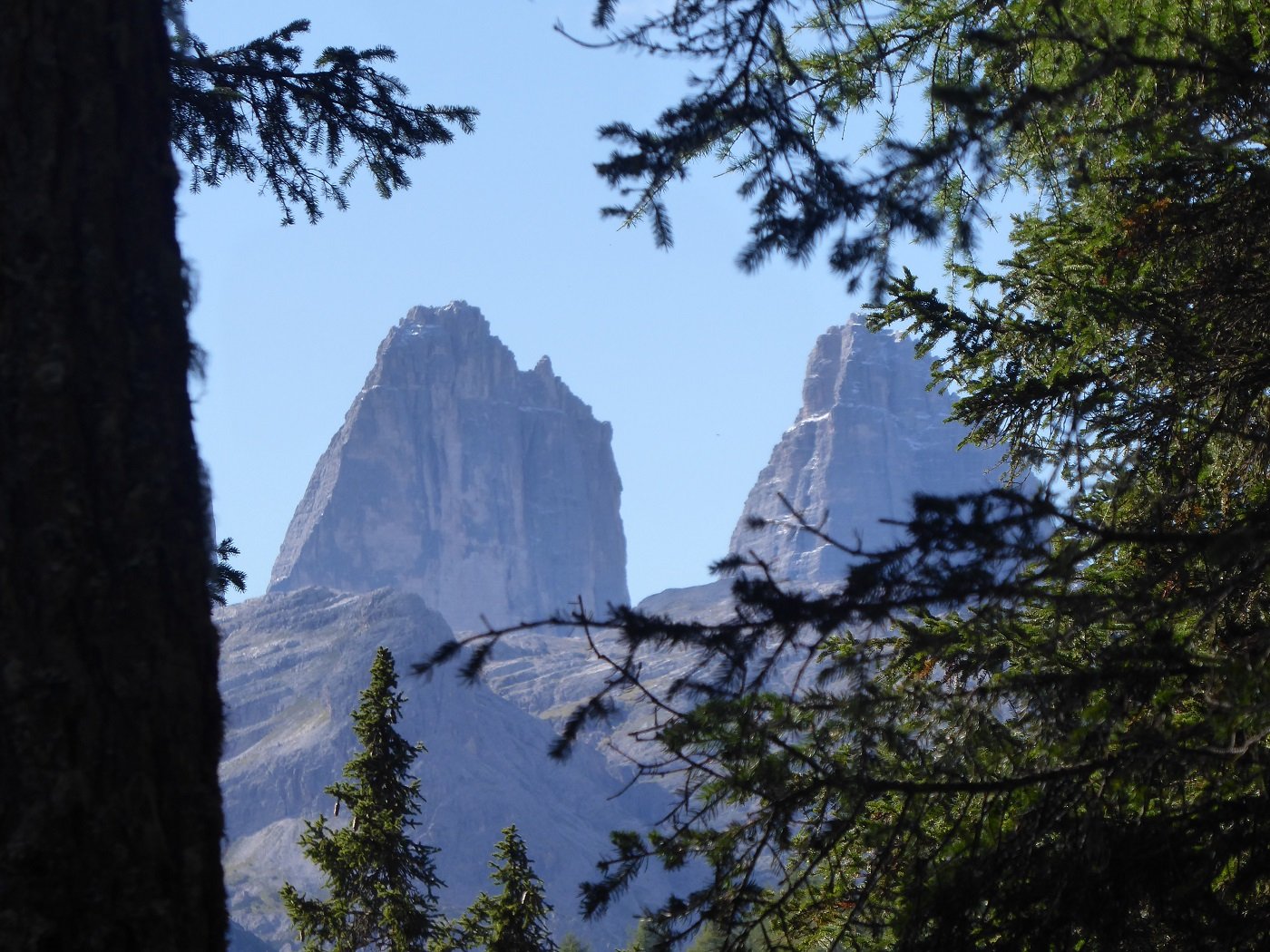 Le Cime di Lavaredo compaiono tra gli alberi.
