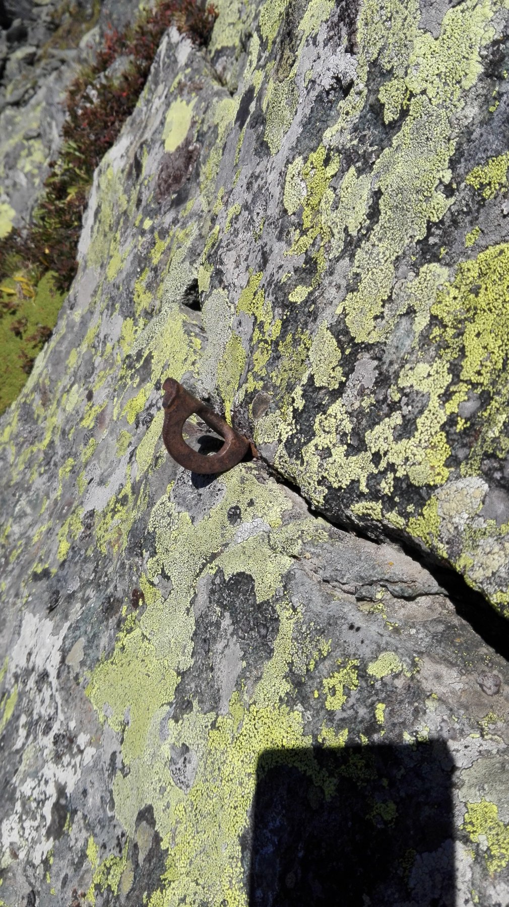 uno dei vecchi chiodi